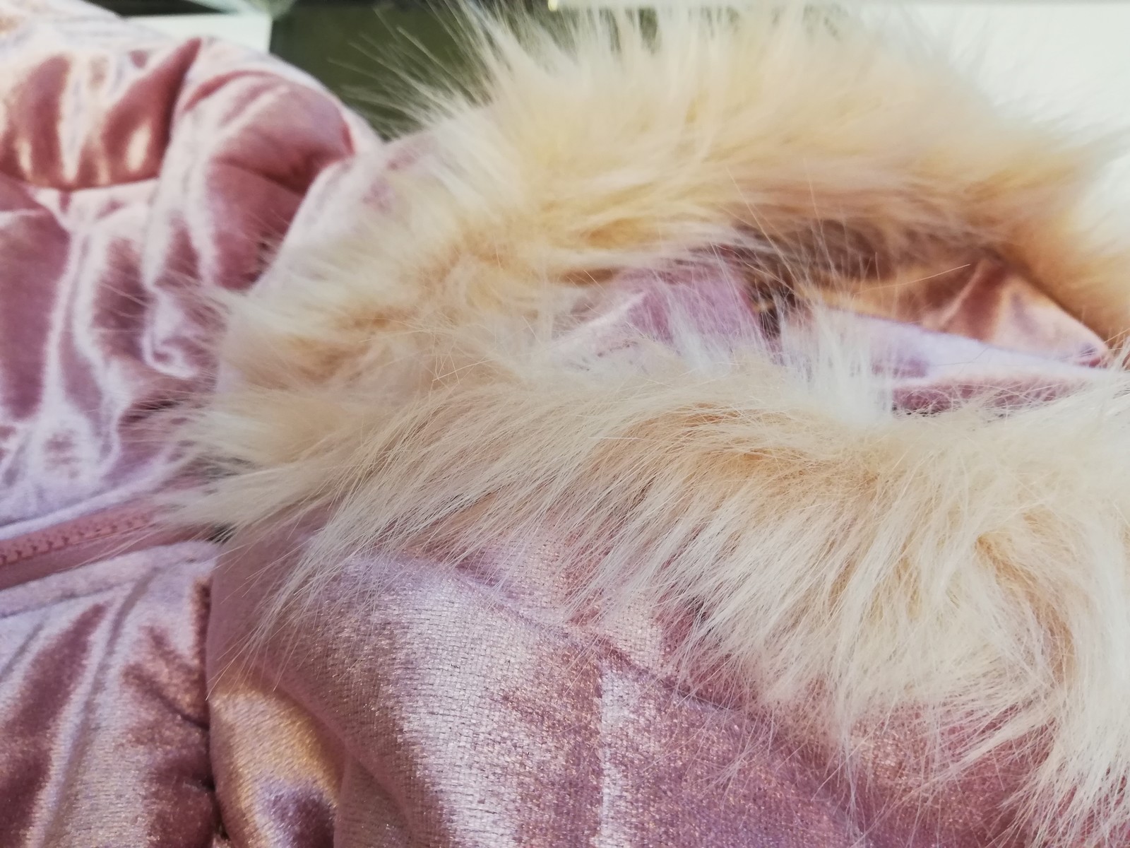 Women Cotton Padded Jackets Gray Pink Hood Fur Collar Thick Fashion Basic Snow Outerwear Winter Velvet Jacket Coat Plus Size