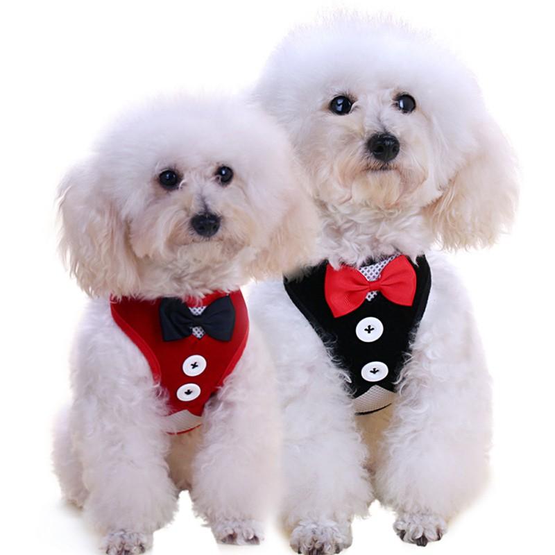 Puppy Use Breathable Bow Dress Small Dog Leash Vest-style Pet Dog Collar Small Pet Wedding Party Accessories Suppliers
Puppy Use Breathable Bow Dress Small Dog Leash Vest-style Pet Dog Collar Small Pet Wedding Party Accessories Suppliers