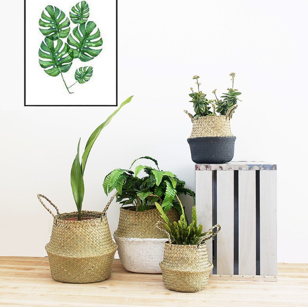 wholesale 8pcs/lot Woven Seagrass Basket Woven Seagrass Tote Belly Basket for Storage Laundry/ Picnic/Plant Pot Cover & Beach Bag
wholesale 8pcs/lot Woven Seagrass Basket Woven Seagrass Tote Belly Basket for Storage Laundry/ Picnic/Plant Pot Cover & Beach Bag