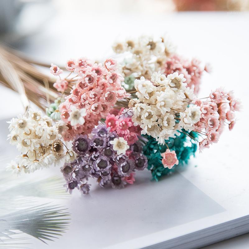 150PCS Dried Flower Mini Daisy Star Flower Bouquet Natural Plants Small Floral for Wedding DIY Home Decoration1, Sky blue
150PCS Dried Flower Mini Daisy Star Flower Bouquet Natural Plants Small Floral for Wedding DIY Home Decoration1, Sky blue