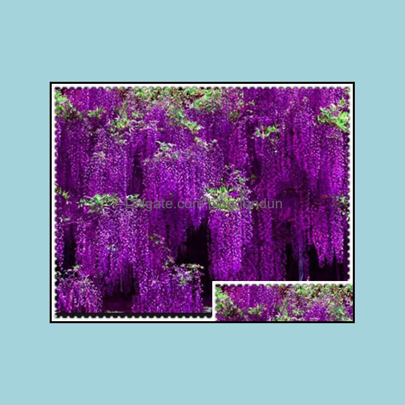 Other Garden Supplies Patio Lawn Home 10 Pcs Seeds Wisteria Bonsai Rare Red Flower Tree Perennial Indoor Ornamental Potted Plants For Min
Other Garden Supplies Patio Lawn Home 10 Pcs Seeds Wisteria Bonsai Rare Red Flower Tree Perennial Indoor Ornamental Potted Plants For Min