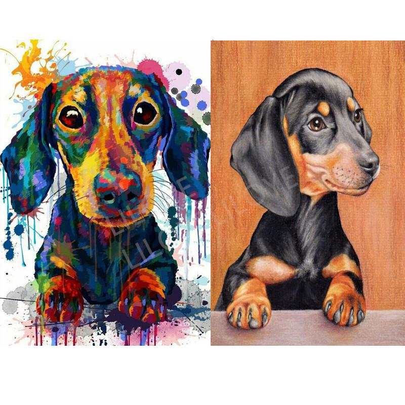 5d diy Diamond Painting Professor Dachshund Diamond Embroidery color cute pets dog full drill square/ round Rhinestones FG1053
5d diy Diamond Painting Professor Dachshund Diamond Embroidery color cute pets dog full drill square/ round Rhinestones FG1053