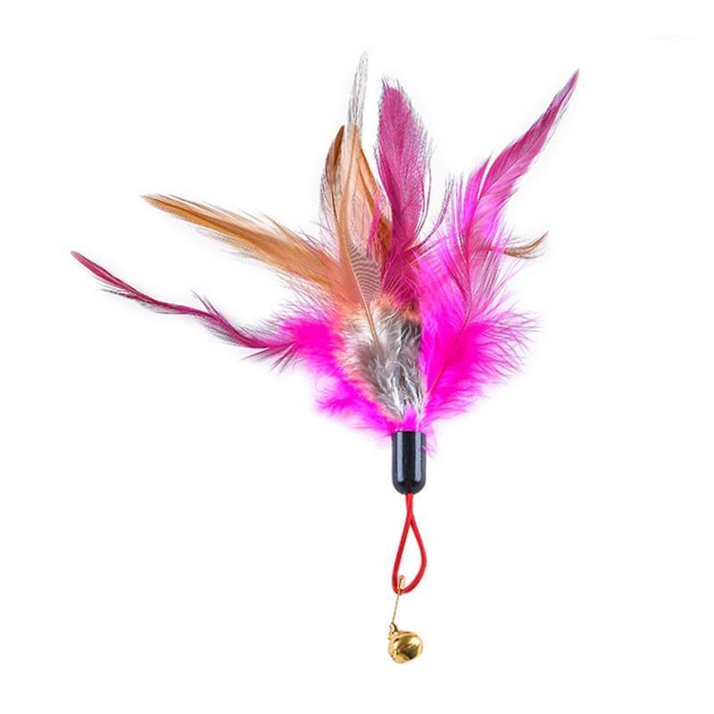 Unique Design 5Pcs Cat Teaser Wand Refills Chicken Feathers Replacement With Bell Interactive Kitten Toy1
Unique Design 5Pcs Cat Teaser Wand Refills Chicken Feathers Replacement With Bell Interactive Kitten Toy1