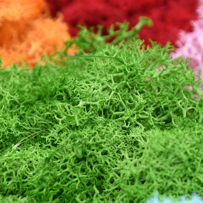 20g Artificial Plant Eternal Moss DIY Green Flower Grass Material Decorative Wall Home Garden Decor Micro Landscape Accessories, B04
20g Artificial Plant Eternal Moss DIY Green Flower Grass Material Decorative Wall Home Garden Decor Micro Landscape Accessories, B04