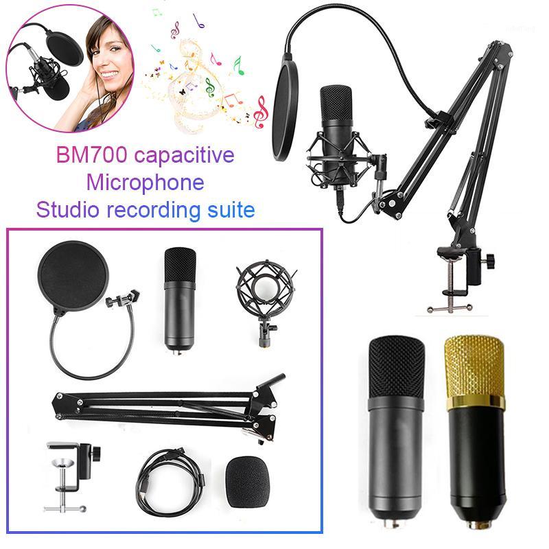 Condenser Microphone Kit Boom Suspension For Computer Audio Voice Recording Mic with Microphone Adjustable Stand1
Condenser Microphone Kit Boom Suspension For Computer Audio Voice Recording Mic with Microphone Adjustable Stand1