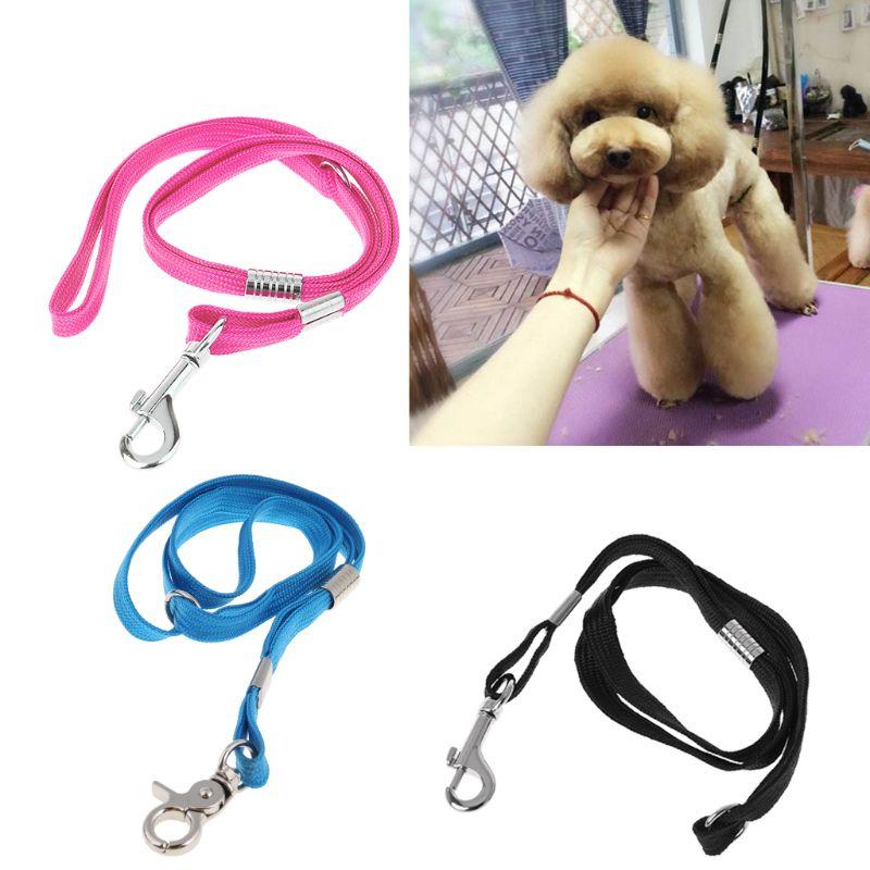 Pet Leash Nylon Cat Dog Grooming Loop Cable Rope Leashes for Beauty Bathing