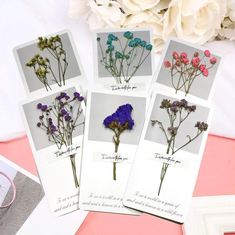1pcs Dried Kawaii Flowers Cards Invitations Postcards Gifts Card Invitations Postcards Wedding Party Festival Greeting Card1
1pcs Dried Kawaii Flowers Cards Invitations Postcards Gifts Card Invitations Postcards Wedding Party Festival Greeting Card1