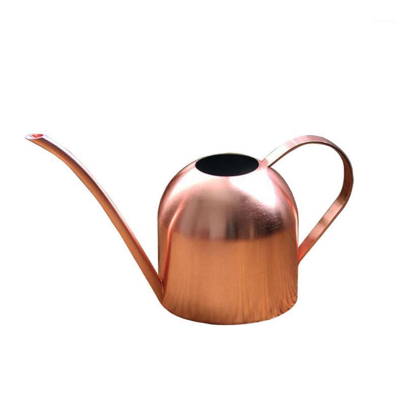 500ML Metal Watering Can Garden Flower Watering Bottle Stainless Steel Pot With Long Spout For Bonsai Indoor Plants1, Sliver
500ML Metal Watering Can Garden Flower Watering Bottle Stainless Steel Pot With Long Spout For Bonsai Indoor Plants1, Sliver