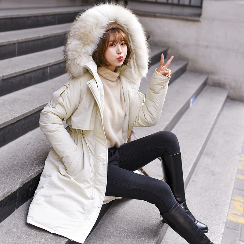 2019 winter jacket women casual with fur collar Winter Jacket Women down cotton jacket female Hooded warm Coat parka LJ201127