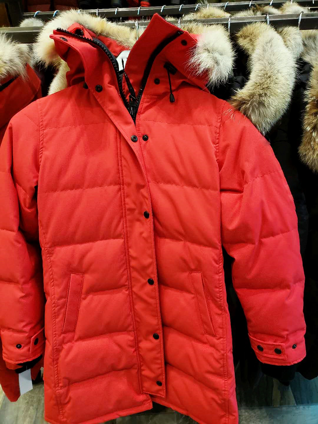 Top Quality New men winter jacket Fashion parka mens winter coats Fabric Thick Down With Real Wolf Fur mink puffer Keep Warm down jacket, Black
Top Quality New men winter jacket Fashion parka mens winter coats Fabric Thick Down With Real Wolf Fur mink puffer Keep Warm down jacket, Black