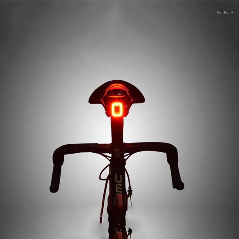 Hot Selling Intelligent Taillight Upgraded Square Highway Mountain Bike Riding Taillight /701
Hot Selling Intelligent Taillight Upgraded Square Highway Mountain Bike Riding Taillight /701