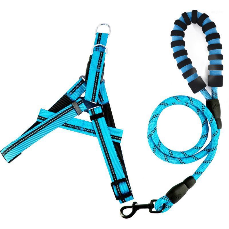 Pet Cat Dog Harness With Dog Leash Nylon Adjustable Puppy Harness Belt Firm and Leash Set Pet Products1
Pet Cat Dog Harness With Dog Leash Nylon Adjustable Puppy Harness Belt Firm and Leash Set Pet Products1