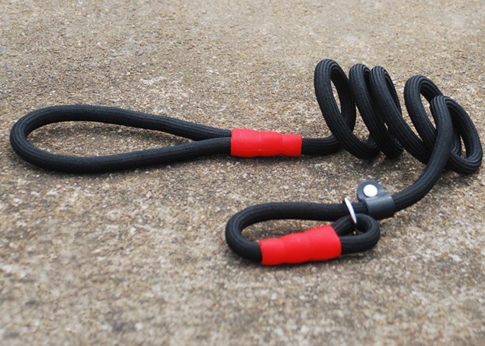 300pcs/lot New Pet Dog Traction Rope Puppy Training Nylon Belt Pets Leads Collars Pibch Collars M L
300pcs/lot New Pet Dog Traction Rope Puppy Training Nylon Belt Pets Leads Collars Pibch Collars M L