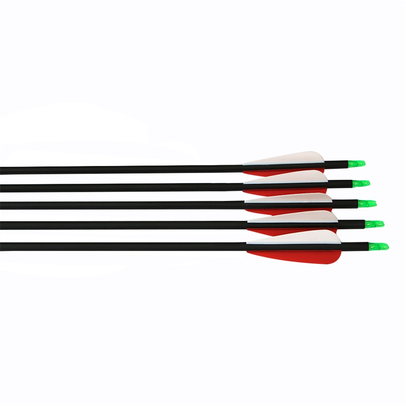 32 inch hunting archery recurve bow arrows with replaceable arrowheads, plasctic archery arrows
32 inch hunting archery recurve bow arrows with replaceable arrowheads, plasctic archery arrows