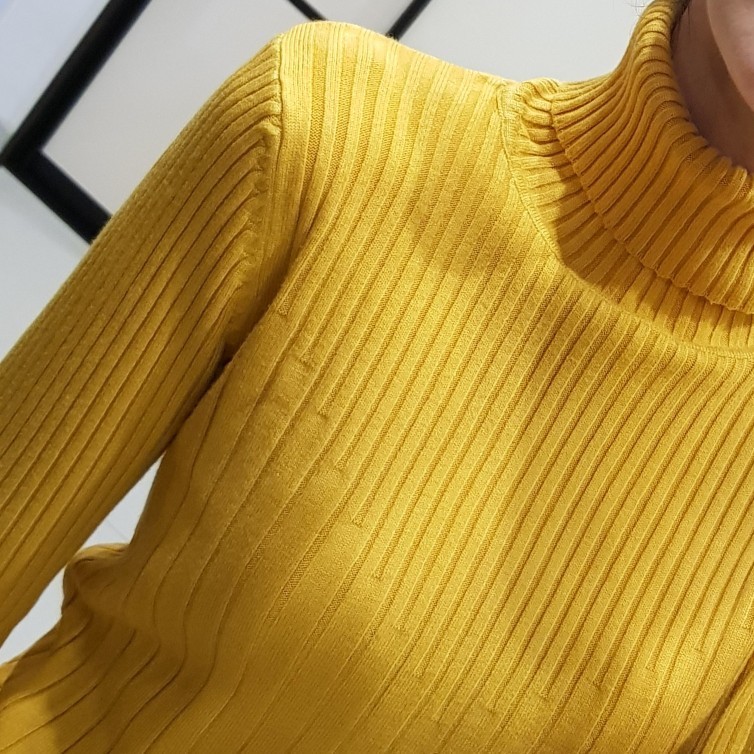 BYGOUBY Autumn Winter Turtleneck Sweater for Women Basic Pullover Sweater Thick Warm Knitted Ribbed Female Jumper Pull Femme 201017