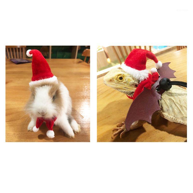 Bearded Dragon Lizard Santa Hat with Elastic Chin Strap+Scarf+Traction Rope Christmas Costume Set Xmas Reptile Apparel1
Bearded Dragon Lizard Santa Hat with Elastic Chin Strap+Scarf+Traction Rope Christmas Costume Set Xmas Reptile Apparel1