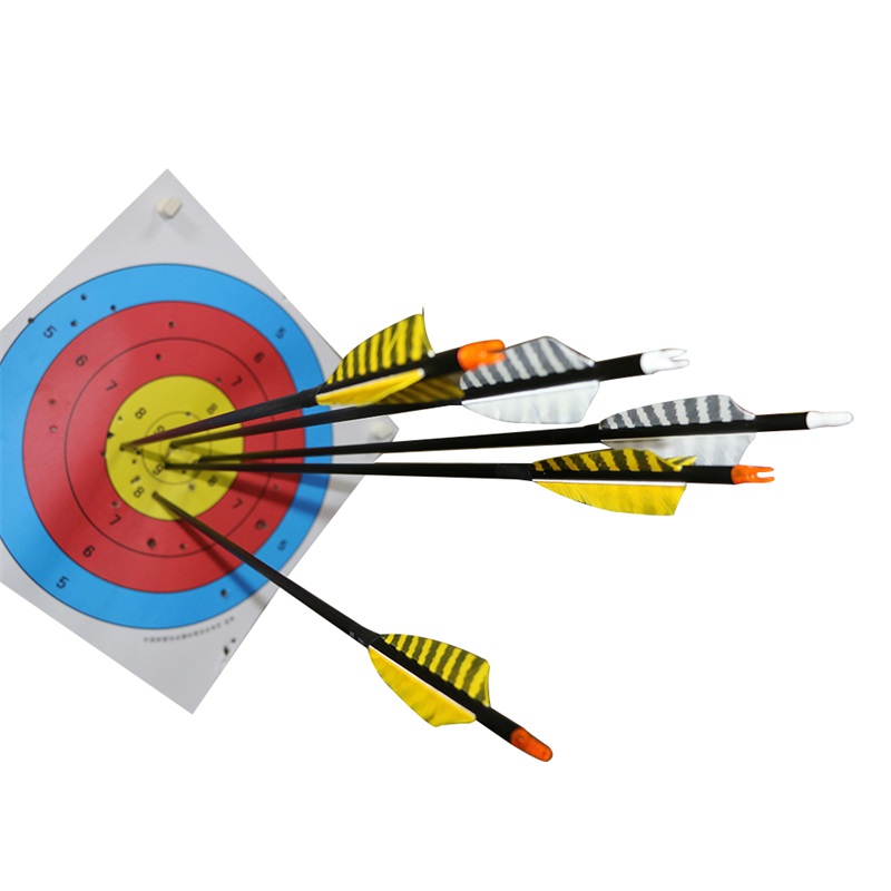 31 inch archery bow hunting carbon arrows replaceable arrow tips ID 6.2mm hunting carbon arrows with turkey feather
31 inch archery bow hunting carbon arrows replaceable arrow tips ID 6.2mm hunting carbon arrows with turkey feather