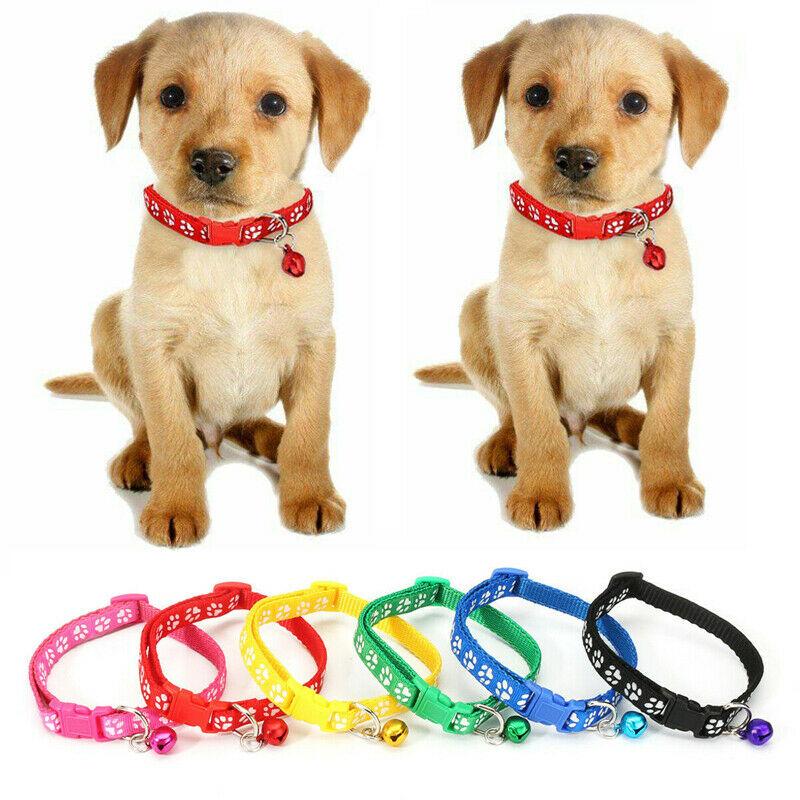 12PCS/set Colours Dog Collar Personalized Nylon Pet Dog Collar Custom Puppy Cat Collars Adjustable For Medium Large Dogs
12PCS/set Colours Dog Collar Personalized Nylon Pet Dog Collar Custom Puppy Cat Collars Adjustable For Medium Large Dogs