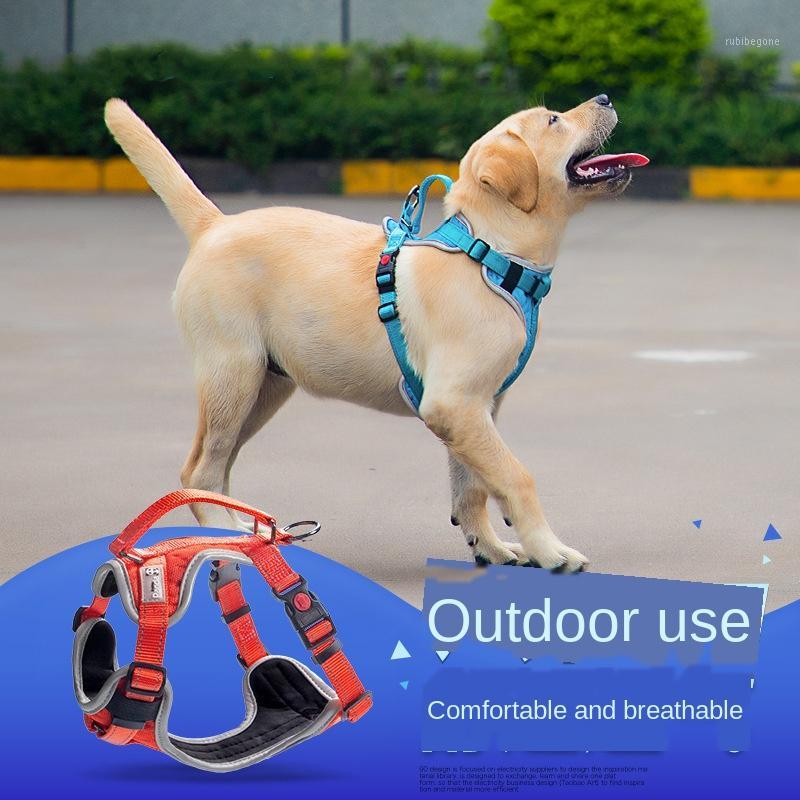 Pet Harness Pet Supplies Explosion-Proof Breathable Dog Chest Strap Custom1
Pet Harness Pet Supplies Explosion-Proof Breathable Dog Chest Strap Custom1