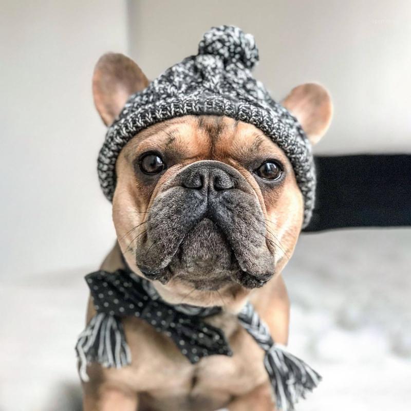 Fashion Autumn and winter fur ball keeps warm and windproof puff ball knitting method dog hat hot new pet headgear1
Fashion Autumn and winter fur ball keeps warm and windproof puff ball knitting method dog hat hot new pet headgear1