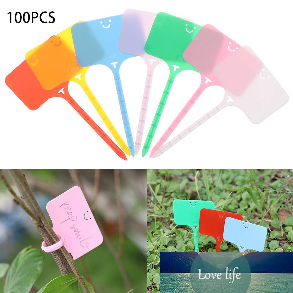 100Pcs Colorful Plant Markers Garden Bonsai Succulent Seedings Tags Sign PVC Gardening Labels Stake on Soil Paint Sticks DROPSHI
100Pcs Colorful Plant Markers Garden Bonsai Succulent Seedings Tags Sign PVC Gardening Labels Stake on Soil Paint Sticks DROPSHI