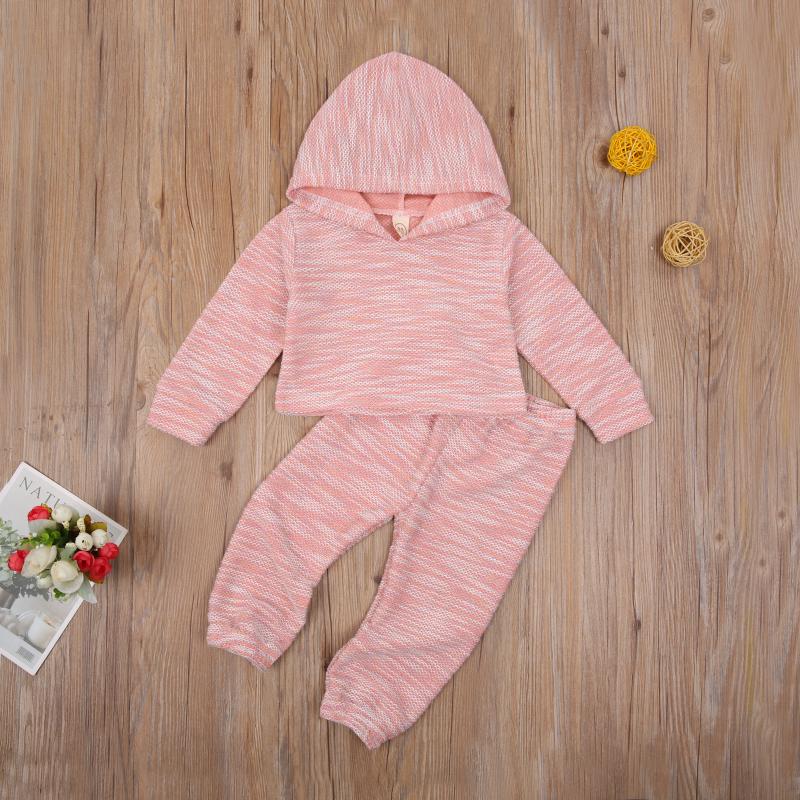 Baby Boys Girls Hoodies Clothes Set 2pcs Long Sleeve Sweatshirt Pullovers +Pants Kids Children Toddler Autumn Casual Outfits, Pink
Baby Boys Girls Hoodies Clothes Set 2pcs Long Sleeve Sweatshirt Pullovers +Pants Kids Children Toddler Autumn Casual Outfits, Pink
