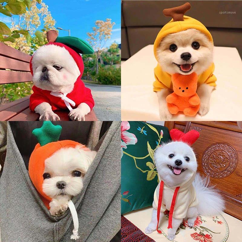 Newest Winter Puppy Dog Costume Cute Fruit Pet Clothes for Small Dogs Cats Pets Clothing Chihuahua Cat Hoodie ubranka dla psa1, Green frog
Newest Winter Puppy Dog Costume Cute Fruit Pet Clothes for Small Dogs Cats Pets Clothing Chihuahua Cat Hoodie ubranka dla psa1, Green frog