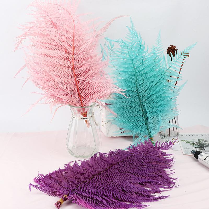 Real Natural Plant Fresh Preserved Fiddlehead Ferns Eternal Soft Pole Flower Leaves For Wedding Party Home Decoration Accessorie, Yc5879
Real Natural Plant Fresh Preserved Fiddlehead Ferns Eternal Soft Pole Flower Leaves For Wedding Party Home Decoration Accessorie, Yc5879