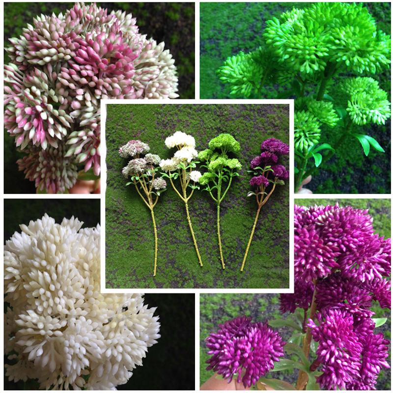 NuoNuoWell 4xFruit Plants Succulent Landscape Fake Artificial Flower Arrangement Ornament Wedding Kitchen Decor, Green
NuoNuoWell 4xFruit Plants Succulent Landscape Fake Artificial Flower Arrangement Ornament Wedding Kitchen Decor, Green