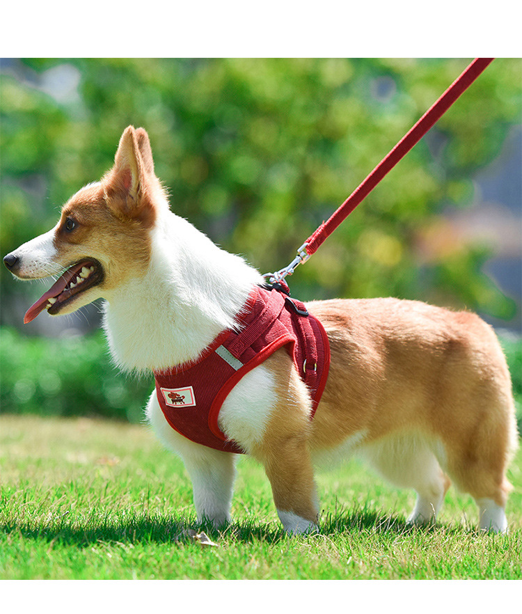 New style pet chest harness vest type reflective dog leash small dog dog rope pet supplies
New style pet chest harness vest type reflective dog leash small dog dog rope pet supplies