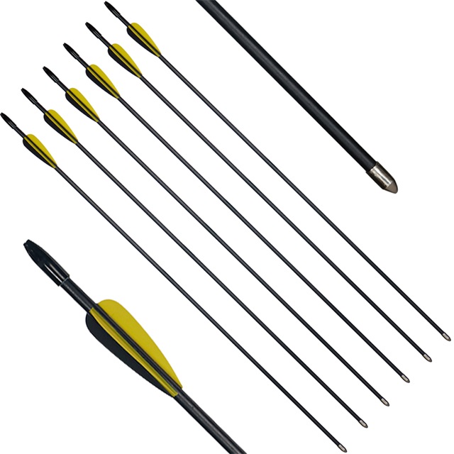 28 inch fiberglass arrow for archery target shooting arrows for recurve bow outdoor hunting
28 inch fiberglass arrow for archery target shooting arrows for recurve bow outdoor hunting