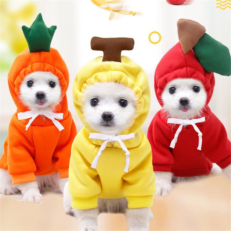 Warm Fleece Winter Pet Clothes Apple Banana Carrot Fruit Cartoon Clothing for Small Medium Dogs and Cats Pet Dog Accessories, White 
Warm Fleece Winter Pet Clothes Apple Banana Carrot Fruit Cartoon Clothing for Small Medium Dogs and Cats Pet Dog Accessories, White