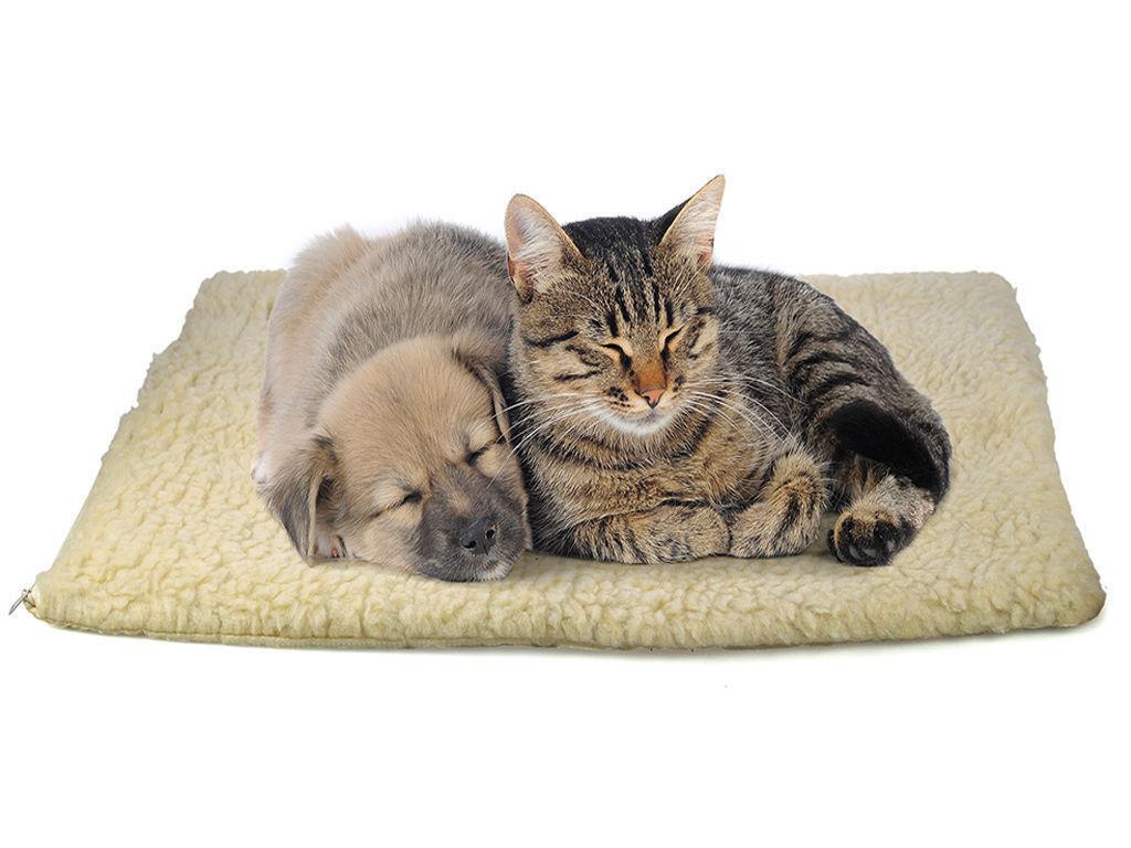 Soft Warm Pet Dog Bed House Pad Mat Cover For Small Medium Large Dog Pet Blanket Sleeping Mats Beds Cat Puppy Bed
Soft Warm Pet Dog Bed House Pad Mat Cover For Small Medium Large Dog Pet Blanket Sleeping Mats Beds Cat Puppy Bed
