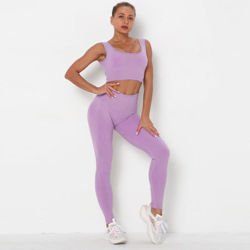 2pcs Seamless Women Yoga Set High Waist Leggings Sport Bra Tank Tops Tracksuit Female Gymwear Fitness Sportswear, Purple
2pcs Seamless Women Yoga Set High Waist Leggings Sport Bra Tank Tops Tracksuit Female Gymwear Fitness Sportswear, Purple
