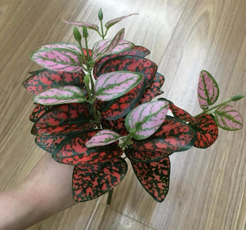 5 Bunches Epipremnum Aureum For DIY Material Potted Plants Accessories Home Office Wedding Patry Venue Decoration, Pink
5 Bunches Epipremnum Aureum For DIY Material Potted Plants Accessories Home Office Wedding Patry Venue Decoration, Pink