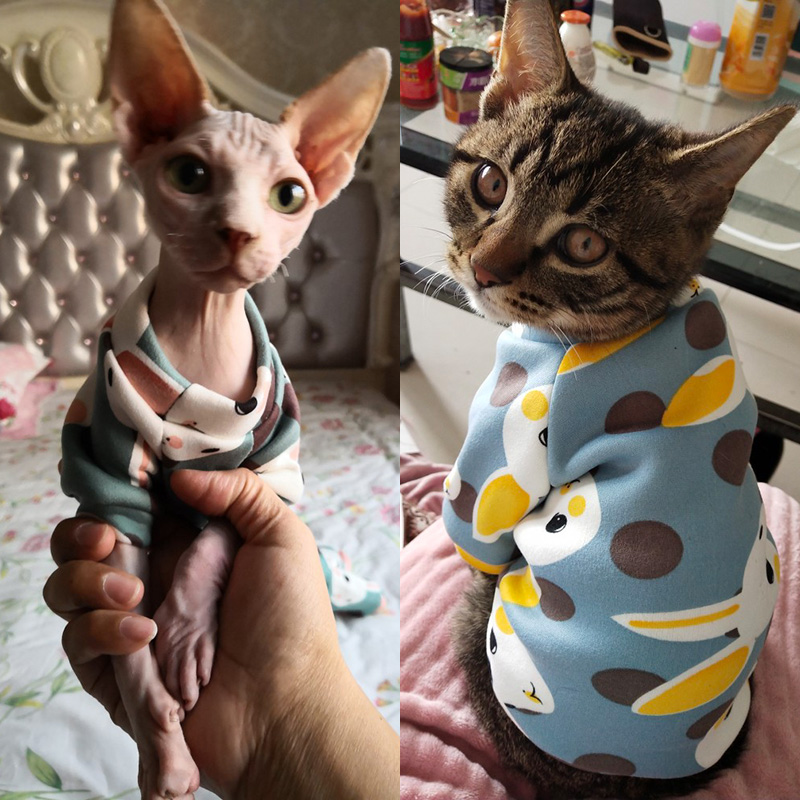 Rabbit Print Pet Cat Costume for Cats Soft Kedi Katten Sweatshirt Hoodie Spring Summer Cat Clothes Suit mascotas ropa para gato
Rabbit Print Pet Cat Costume for Cats Soft Kedi Katten Sweatshirt Hoodie Spring Summer Cat Clothes Suit mascotas ropa para gato