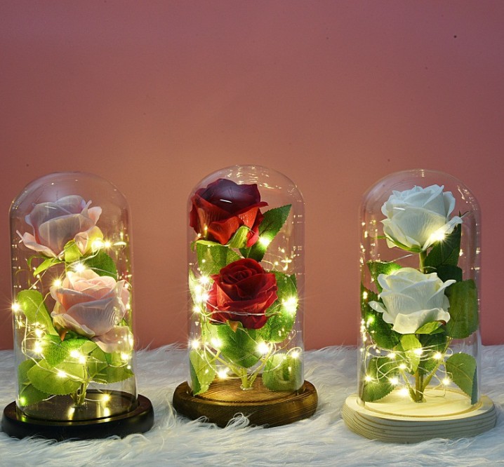 women gift valentine's Day eternal flower rose green leaf Glass cover decorative flower with light present, As pic
women gift valentine's Day eternal flower rose green leaf Glass cover decorative flower with light present, As pic