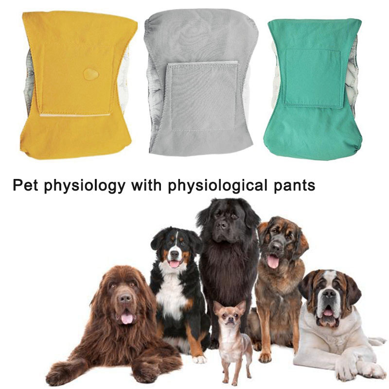 Newly Reusable Male Pet Dog Nappy Pants Simple Menstrual Sanitary Diaper Pets Supply, Yellow
Newly Reusable Male Pet Dog Nappy Pants Simple Menstrual Sanitary Diaper Pets Supply, Yellow