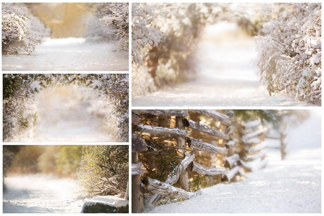 Winter Snow Creamy Digital Backdrops Christmas Background Backdrops Decorations for Home Photo Studio Backdrop Photocall1
Winter Snow Creamy Digital Backdrops Christmas Background Backdrops Decorations for Home Photo Studio Backdrop Photocall1