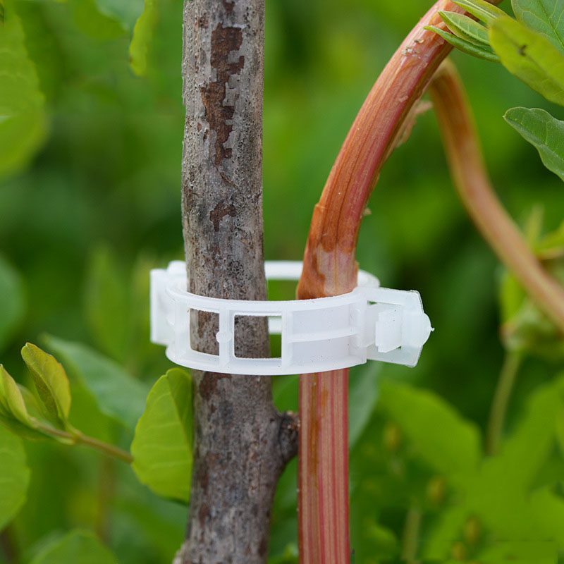 50pcs 30mm Plastic Garden Plant Support Clips Durable Vines Vegetable Fastener for Types Plants Greenhouse Farming Clip
50pcs 30mm Plastic Garden Plant Support Clips Durable Vines Vegetable Fastener for Types Plants Greenhouse Farming Clip