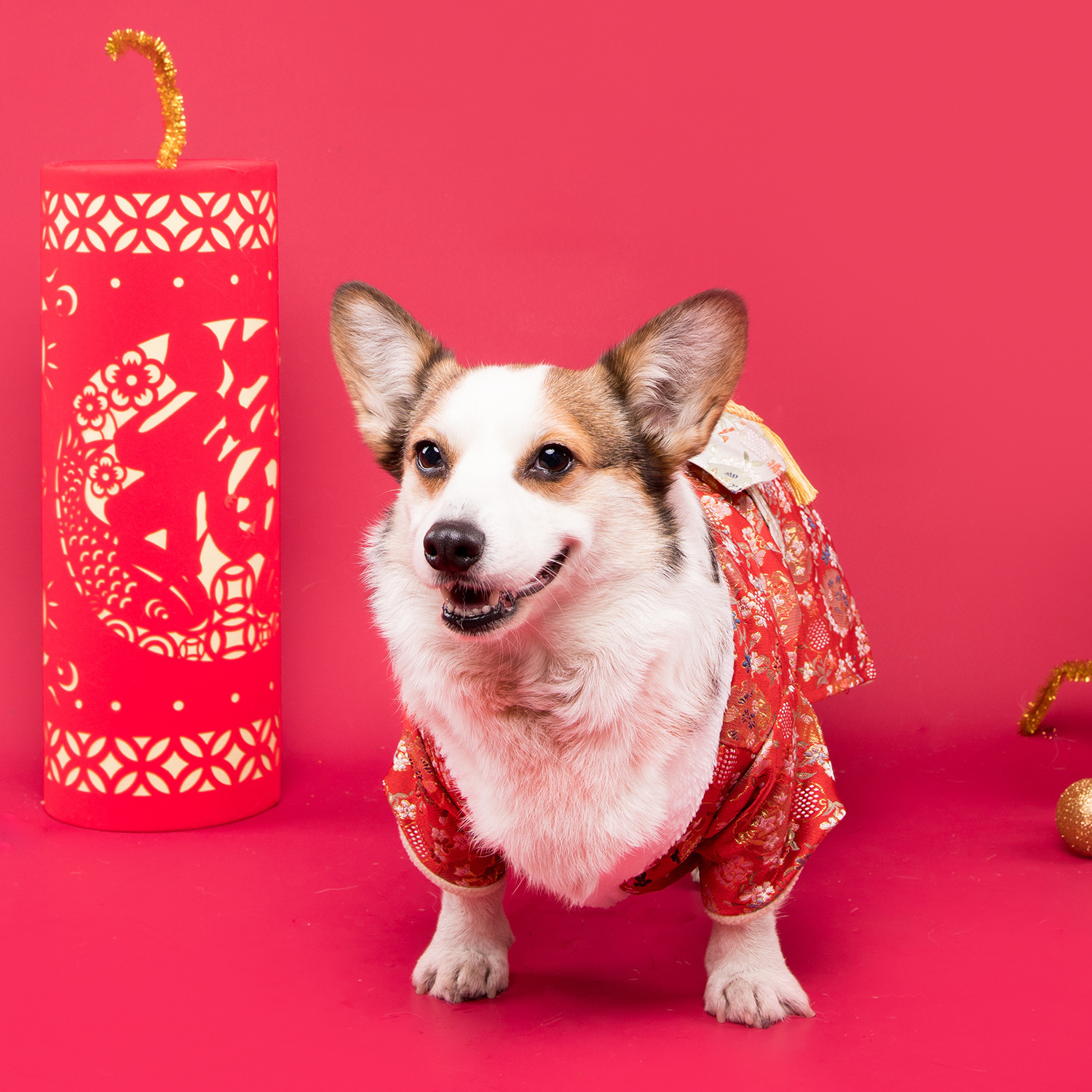 Pet Kimono Dog Japanese Style Clothes Corgi Shiba Inu Custom Large Size Kimono Dog Clothes Dog Costumes for Small Dogs LJ201130