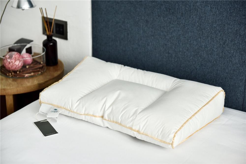Lmported Material Pure Color 100% Cotton Soft Pillow, Protect The Neck And Slow Rebound Memory Pillow 48x74CM
Lmported Material Pure Color 100% Cotton Soft Pillow, Protect The Neck And Slow Rebound Memory Pillow 48x74CM