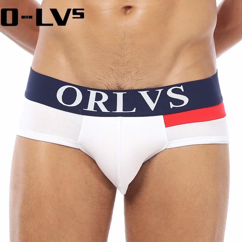 ORLVS Men Underwear Briefs Cotton Comfortable Slip Cueca Male Panties Breathable Men's Briefs Sexy Gay Underwear 5Pcs Set OR113 T200511