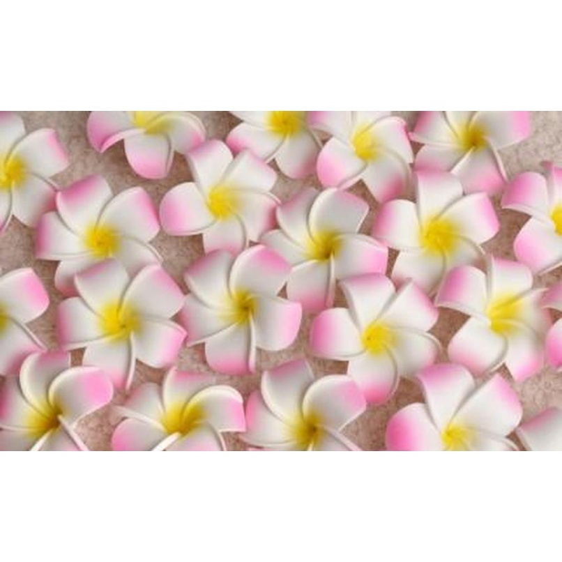 100pcs 7cm Wholesale Plumeria Hawaiian Foam Frangipani Flower For Wedding Party Hair Clip Flower jlloiM lucky2005
100pcs 7cm Wholesale Plumeria Hawaiian Foam Frangipani Flower For Wedding Party Hair Clip Flower jlloiM lucky2005