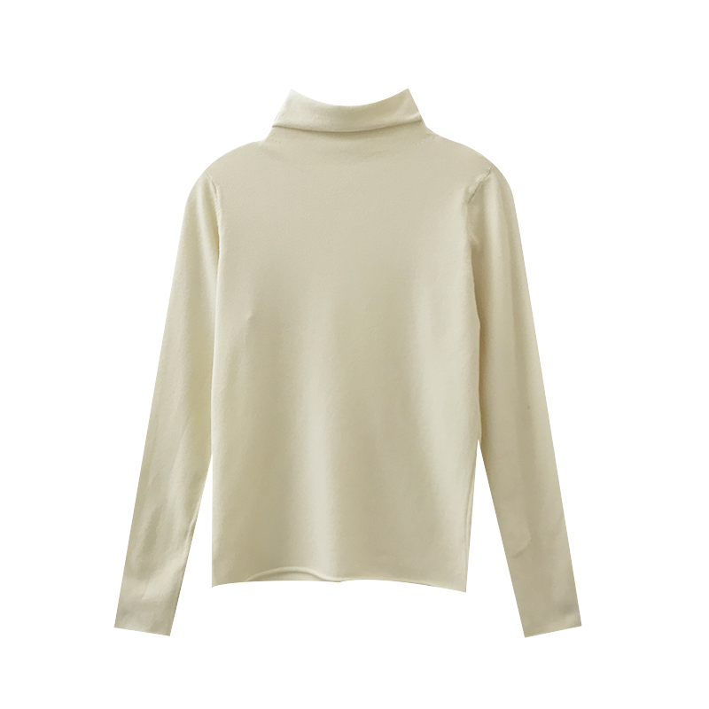 Stretch Women Sweaters Turtleneck Pullovers soft Primer Shirt Long Sleeve Korean Slim-fit Tight Sweater 2020 Autumn Winter Solid LJ201126