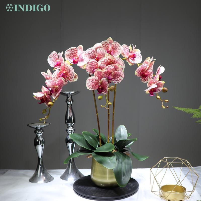 INDIGO- 90cm Coffee Spot Phalaenopsis Orchid Bonsai Real Touch Artificial Wedding Flower Orchid Event Floral Party Display, 3 orchid 3 leaves
INDIGO- 90cm Coffee Spot Phalaenopsis Orchid Bonsai Real Touch Artificial Wedding Flower Orchid Event Floral Party Display, 3 orchid 3 leaves