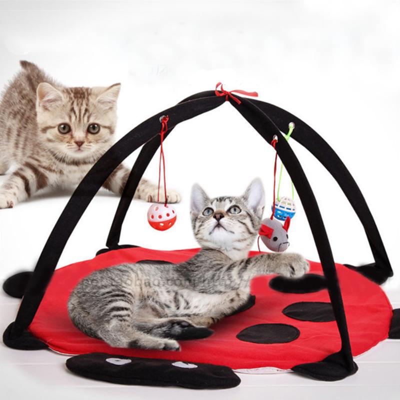 Funny Pet Play Bed Toys Portable Cat Exercise Tent Foldable Kitten Activity Mat Blanket Cats Play Pad Cushion Mobile House
Funny Pet Play Bed Toys Portable Cat Exercise Tent Foldable Kitten Activity Mat Blanket Cats Play Pad Cushion Mobile House
