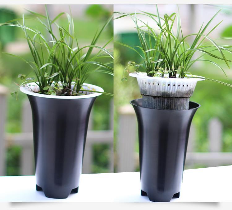 Double plastic transparent breathable sets pots Cymbidium goeringii Cymbidium flower pot1
Double plastic transparent breathable sets pots Cymbidium goeringii Cymbidium flower pot1