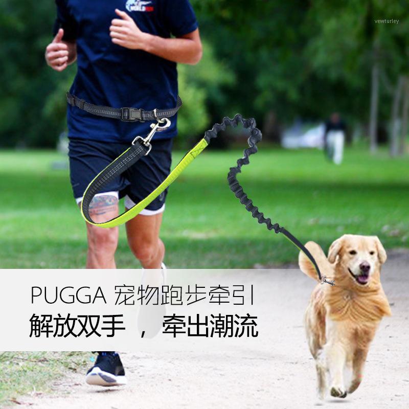 Nylon Running Leash For Pets Dog Lead Rope Elastic Waist Belt Strap Traction Rope Pets Leash Hiking Training Walk reflective pet1
Nylon Running Leash For Pets Dog Lead Rope Elastic Waist Belt Strap Traction Rope Pets Leash Hiking Training Walk reflective pet1