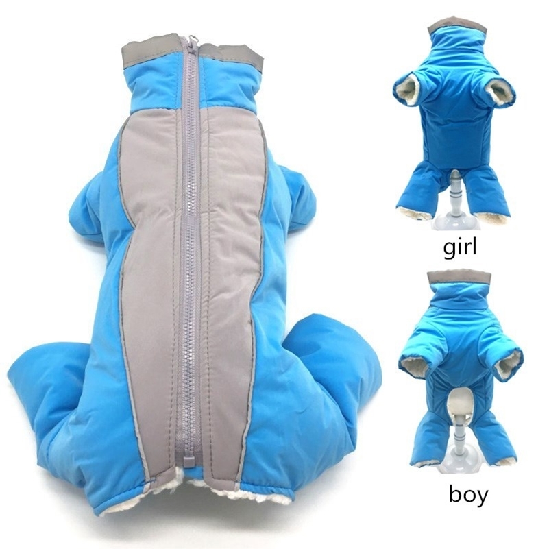 New Puppy Dog Waterproof Clothing For Reflectiv Pet Jackets Small Animal Winter Warm Cotton Yorkshire Dachshund Cat Products 201109, Orange for girl
New Puppy Dog Waterproof Clothing For Reflectiv Pet Jackets Small Animal Winter Warm Cotton Yorkshire Dachshund Cat Products 201109, Orange for girl